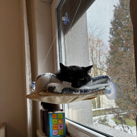 Mačja viseča mreža