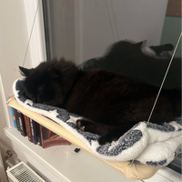 Mačja viseča mreža