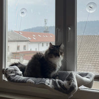 Mačja viseča mreža