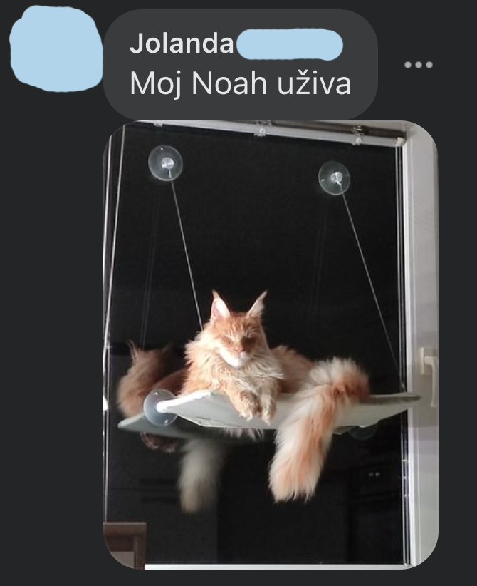 Mnenje stranke Jolanda