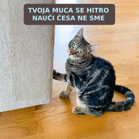 Zaščita pred praskami (30x45cm) – 10 listov