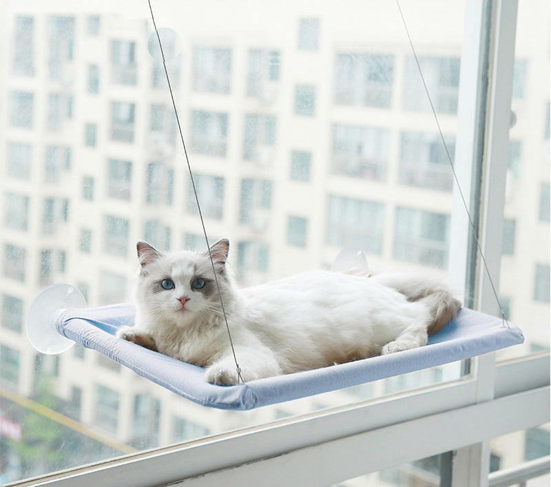 Mačja viseča mreža