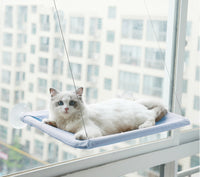 Mačja viseča mreža